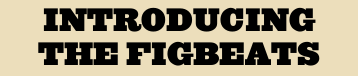 Introducing The Figbeats